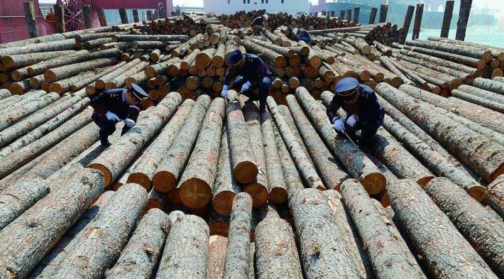 云南晋宁加强木材市场检疫监管