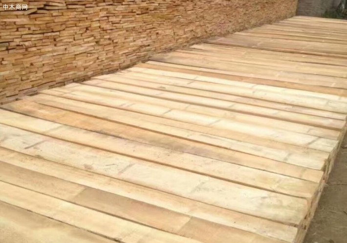 白杨木烘干板材做家具木材纹理通达