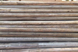 溧阳竹箦镇一木材加工厂粉尘影响环境要求停产！