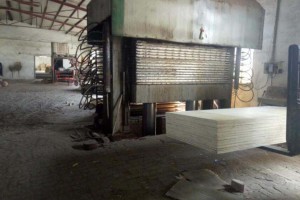 坤宇木业人造板生产设备图片