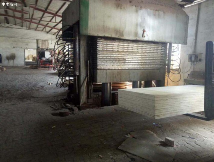 坤宇木业人造板生产设备图片