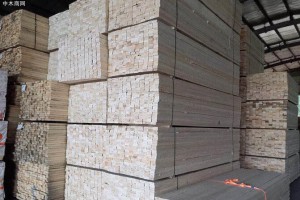 安平镇重点开展木材加工企业安全生产大检查