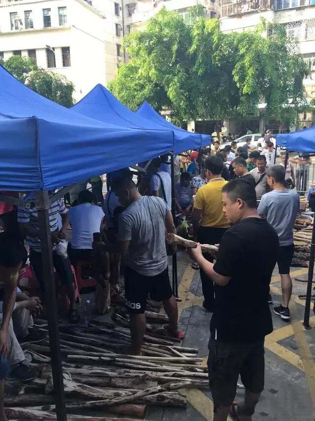 海南黄花梨因为成材缓慢