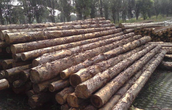 求购：木桩，4米14,6米14,4万根