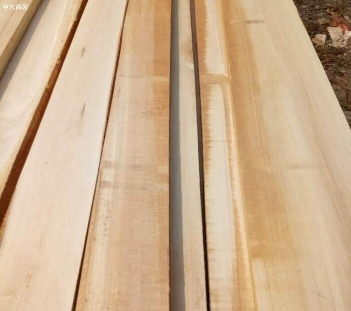 碳化杨木板主要材料 