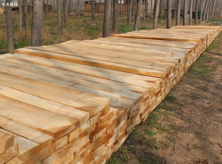 河南白杨木烘干板材厂家批发价格是多少