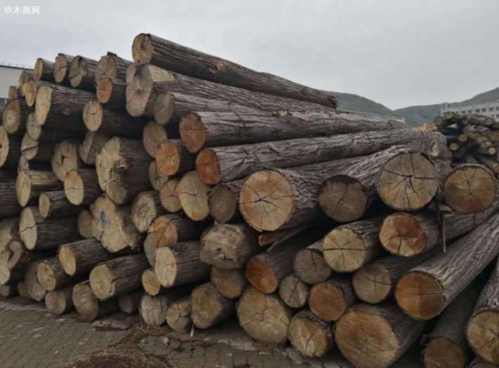 罗马尼亚2020年木材开采量预计为950万立方米