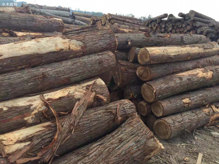 七里坑木材检查站深入木材货场开展调查宣传活动