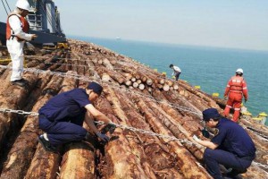 英国脱欧，对中国木材市场的影响是好还是坏？