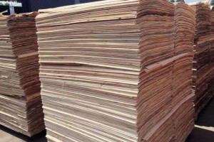 杨木板皮干什么用的？杨木板皮的价格是多少？