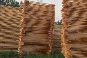 白杨木板材厂家批发价格