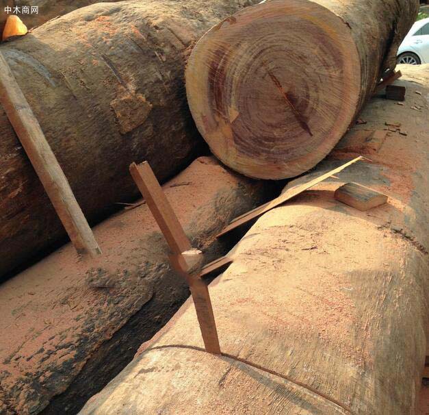 红铁木木材的优缺点分析