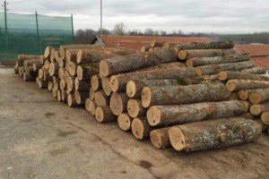 未来几个月欧洲木材和窗户行业需求有可能放缓