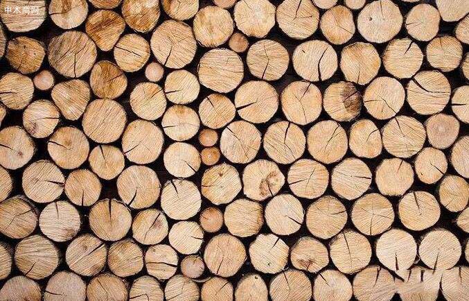 木材干燥是什么意思