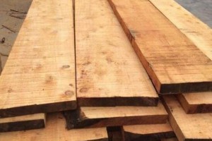 广东木材加工厂将在12月份大面积停产
