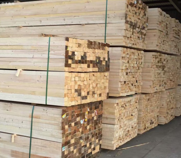 加蓬2019年上半年木材产量增长