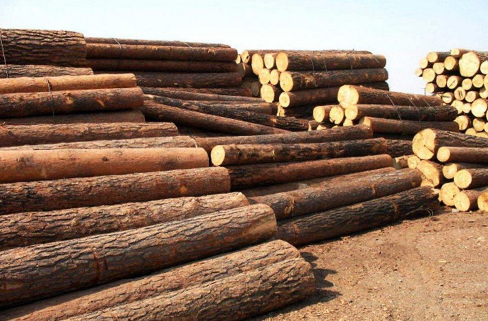 更多的欧洲软木正销往美国木材市场！