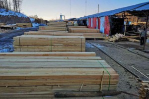 俄罗斯哈巴罗夫斯克边疆区取消木材采伐税收优惠政策