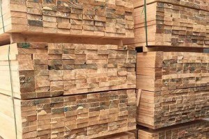 宁波宁海精诚木业存在严重消防安全隐患被曝光