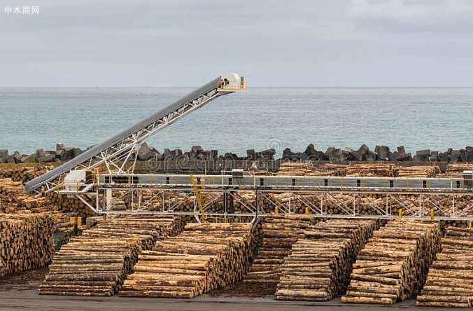 三季度全球各大木材行业公司盈利均出现大幅下滑！