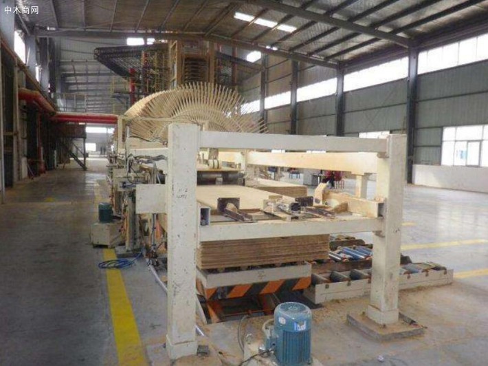 河南淮阳康森木业密度纤维板生产线竣工投产