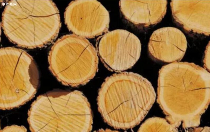 温度是影响木材干燥速度的主要因素