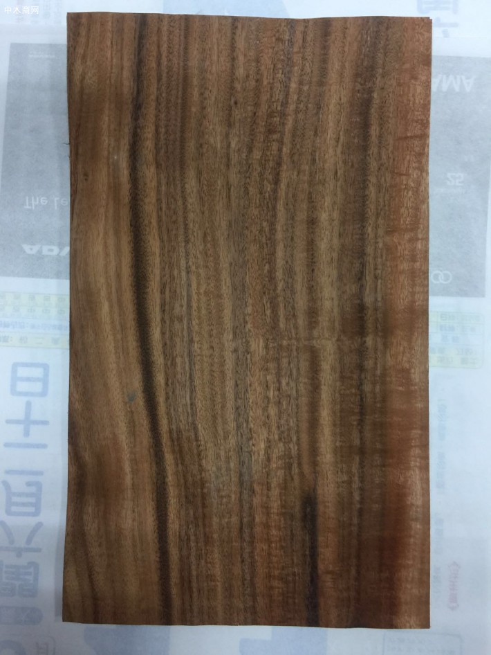 台灣酸枝，小葉相思木原木最新报价厂家