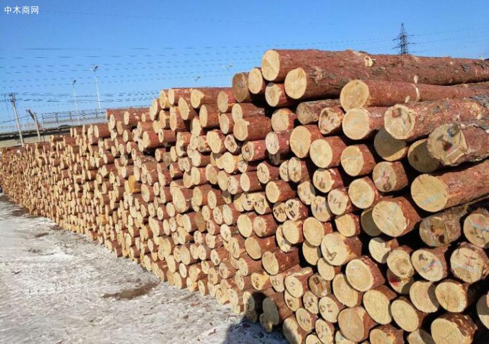 俄远东木业园区投资潜力推介会召开