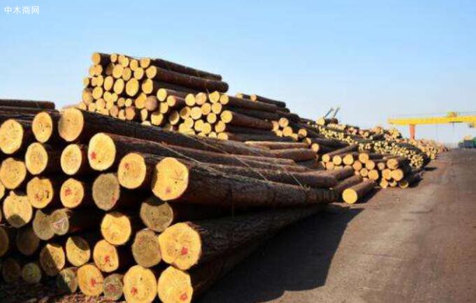 加拿大铁路罢工结束，软木木材价格温和上涨