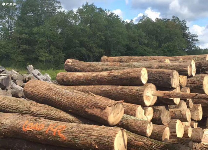 未来美国木材需求整体保持稳定