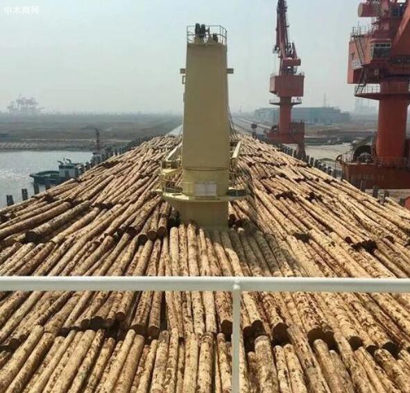预计到2025年，曹妃甸进口木材达到500万立方米