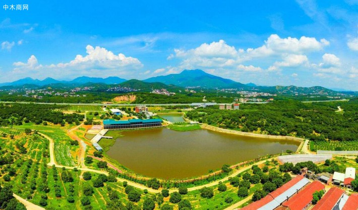 四川广安生态木业产业园高质量发展