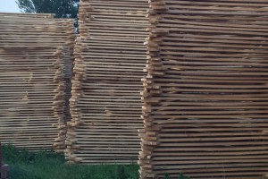 杨木板材的特点有哪些？杨木板材价格一般多少钱一方好？