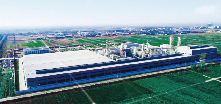 徐州博枫木业胶合板项目环评获批通过