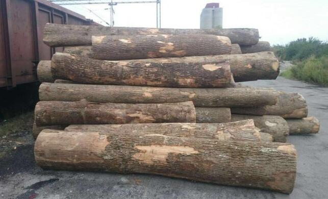 欧洲硬木木材价格行情_2019年12月18日