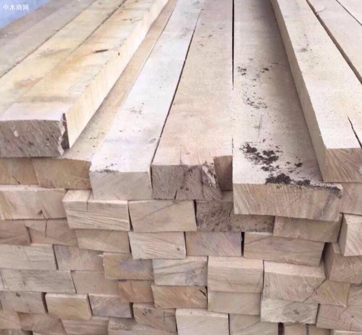 瑞士锯木木材价格行情_2019年12月19日