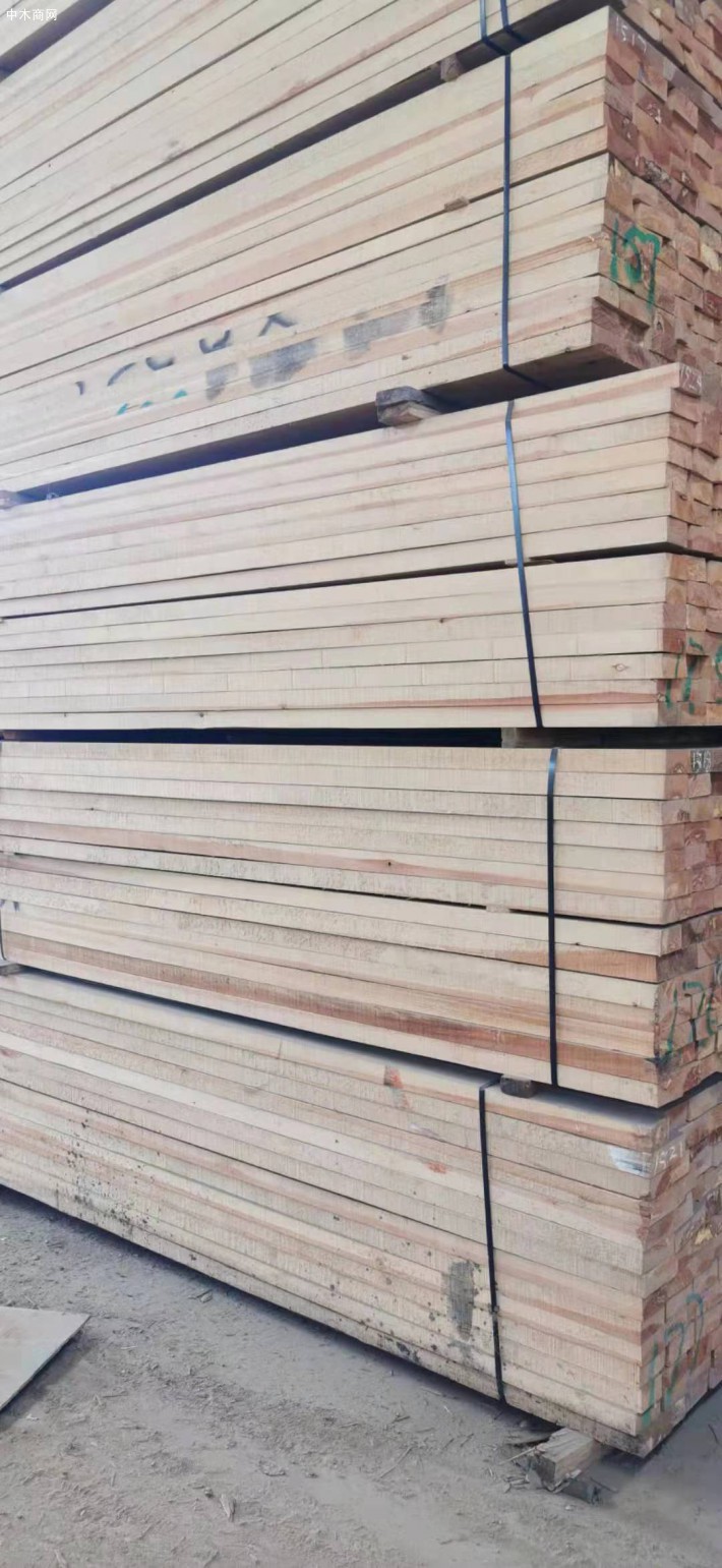 新疆八师134团对两家木材加工企业挂牌整治工作
