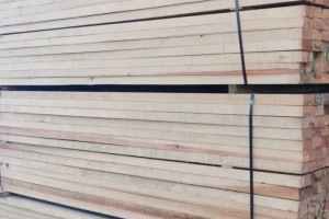 新疆八师134团对两家木材加工企业挂牌整治工作