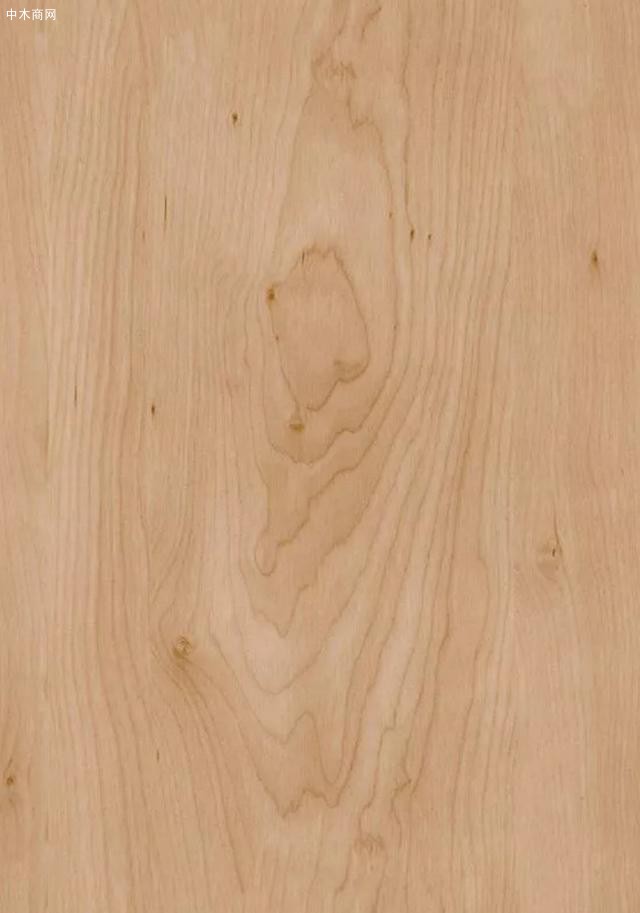 家具木材解剖特征:家具木材木纹之美
