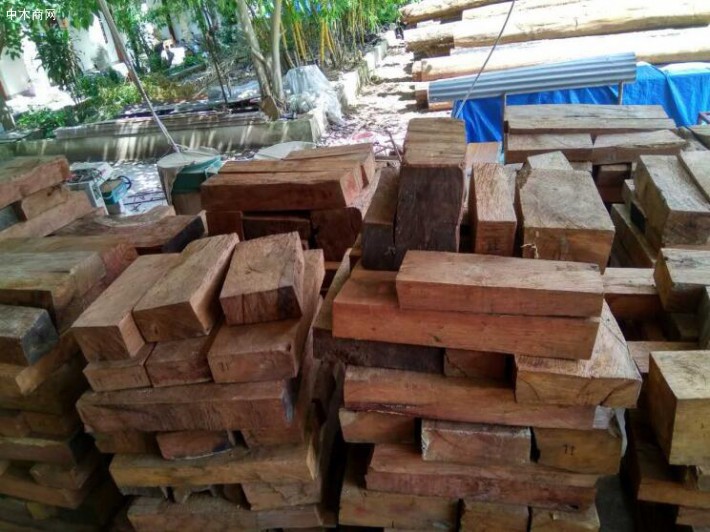  贵州大地乡开展木材加工厂企业安全检查工作