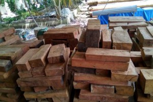 贵州大地乡开展木材加工厂企业安全检查工作