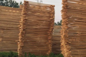 河南安平镇对“小散乱污”木板加工厂下达限期拆除通知