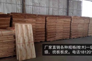 广西桉木木皮单板生产厂家批发视频