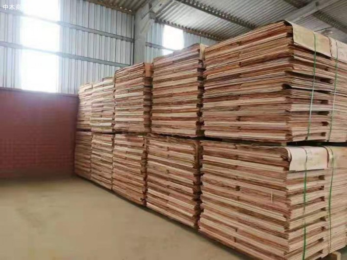 广西桉木板皮子生产厂家加工视频