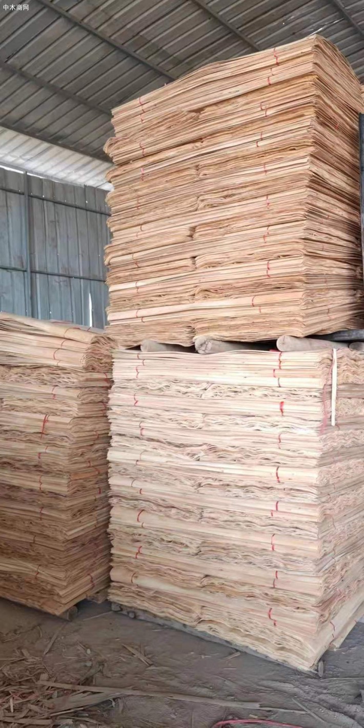广西桉木板皮子生产厂家加工视频厂家