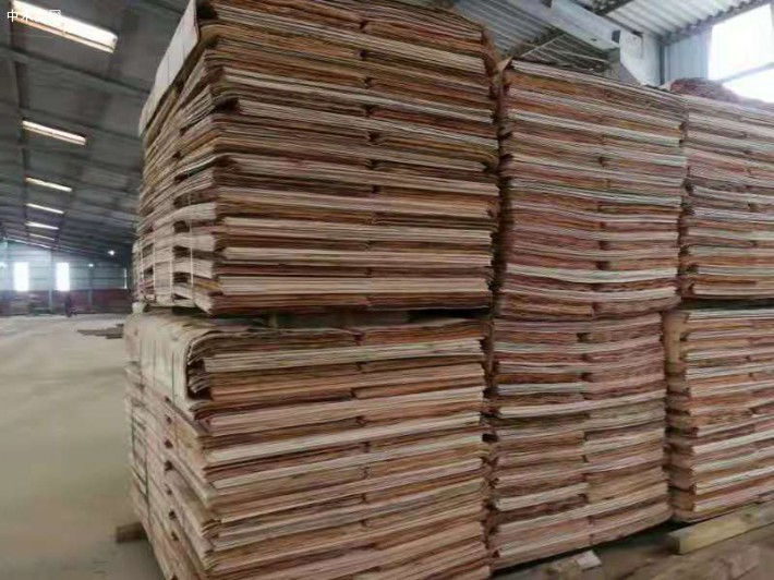 广西桉木板皮单板生产厂家实物视频