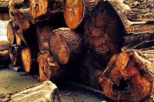 核桃木木材有什么特性和用途？