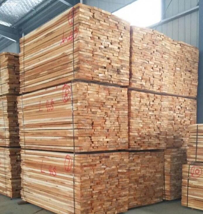白杨木板材国内厂家价格今日最新报价