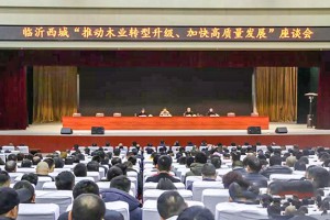 义堂镇召开临沂西城:全力推动木业转型升级,加快实现高质量发展