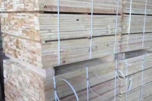 乌克兰樟子松建筑木方价格多少钱一方